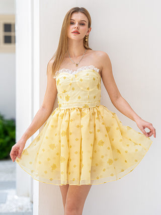 Sunshine Strapless Dress